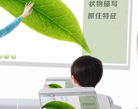 真感想阅读与作文